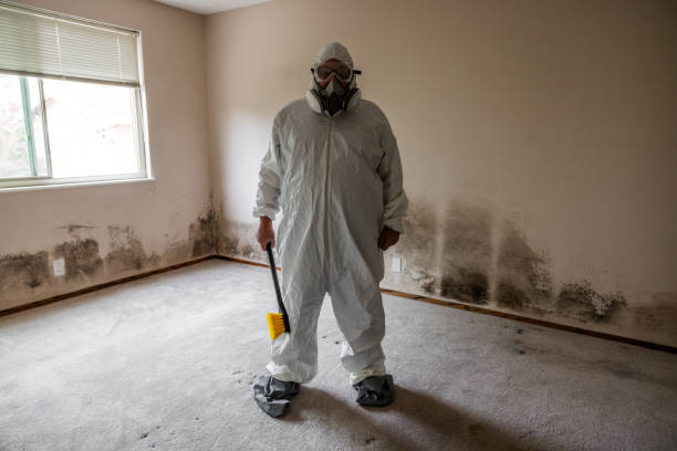 Best Mold Prevention Services  in Gregory, SD